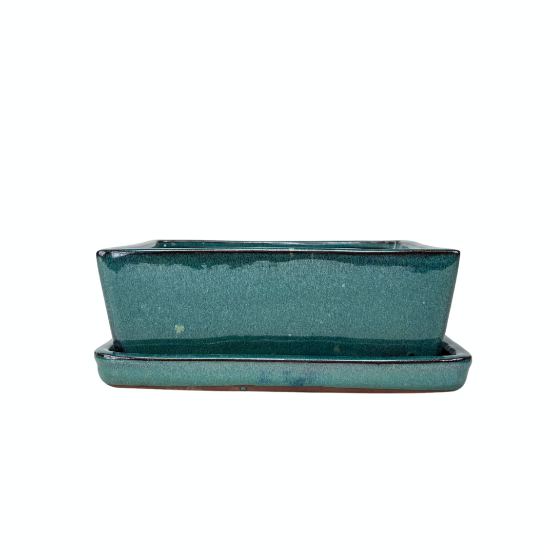 Bonsai pot groen rechthoek 24cm - set