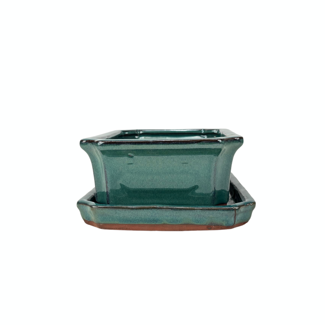 Bonsai pot groen rechthoek 25cm - set