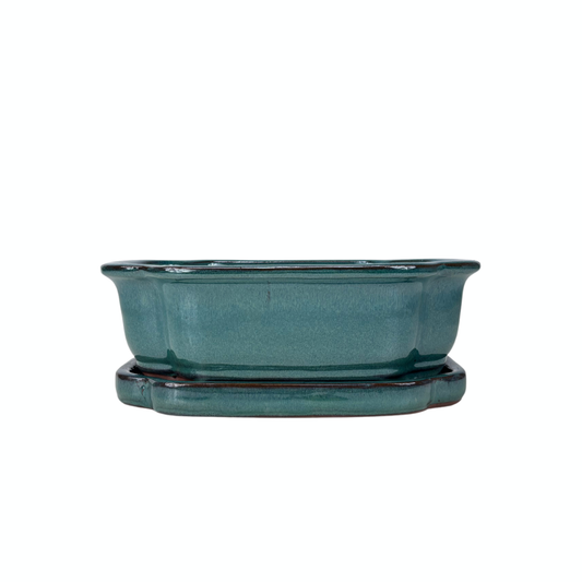 Bonsai pot groen mokko 26cm - set