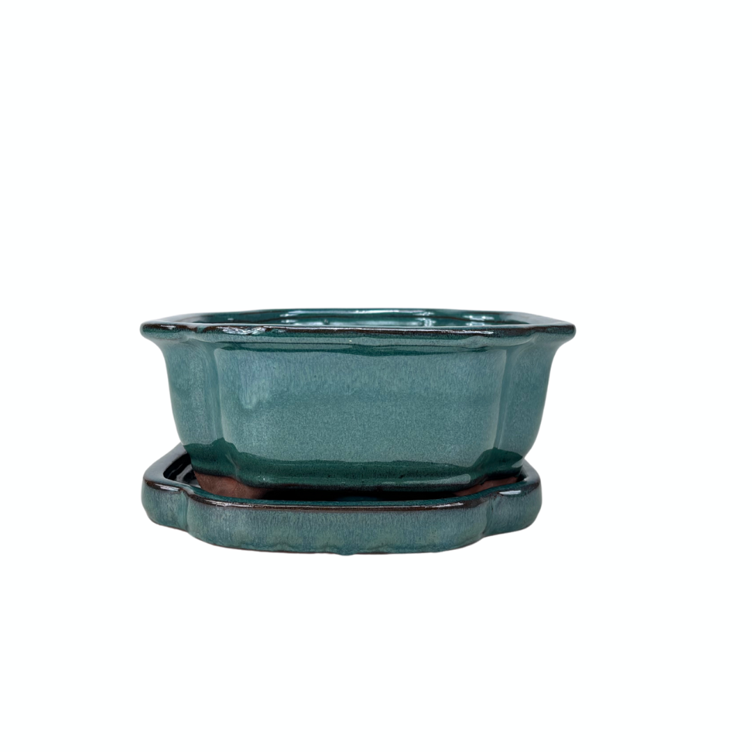Bonsai pot groen mokko 22cm - set