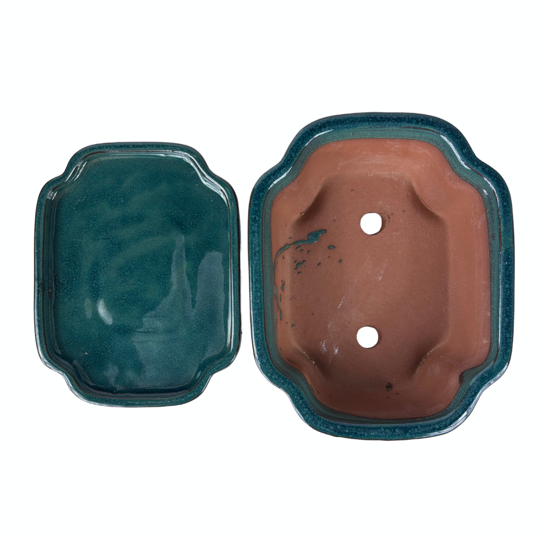 Bonsai pot groen mokko 22cm - set