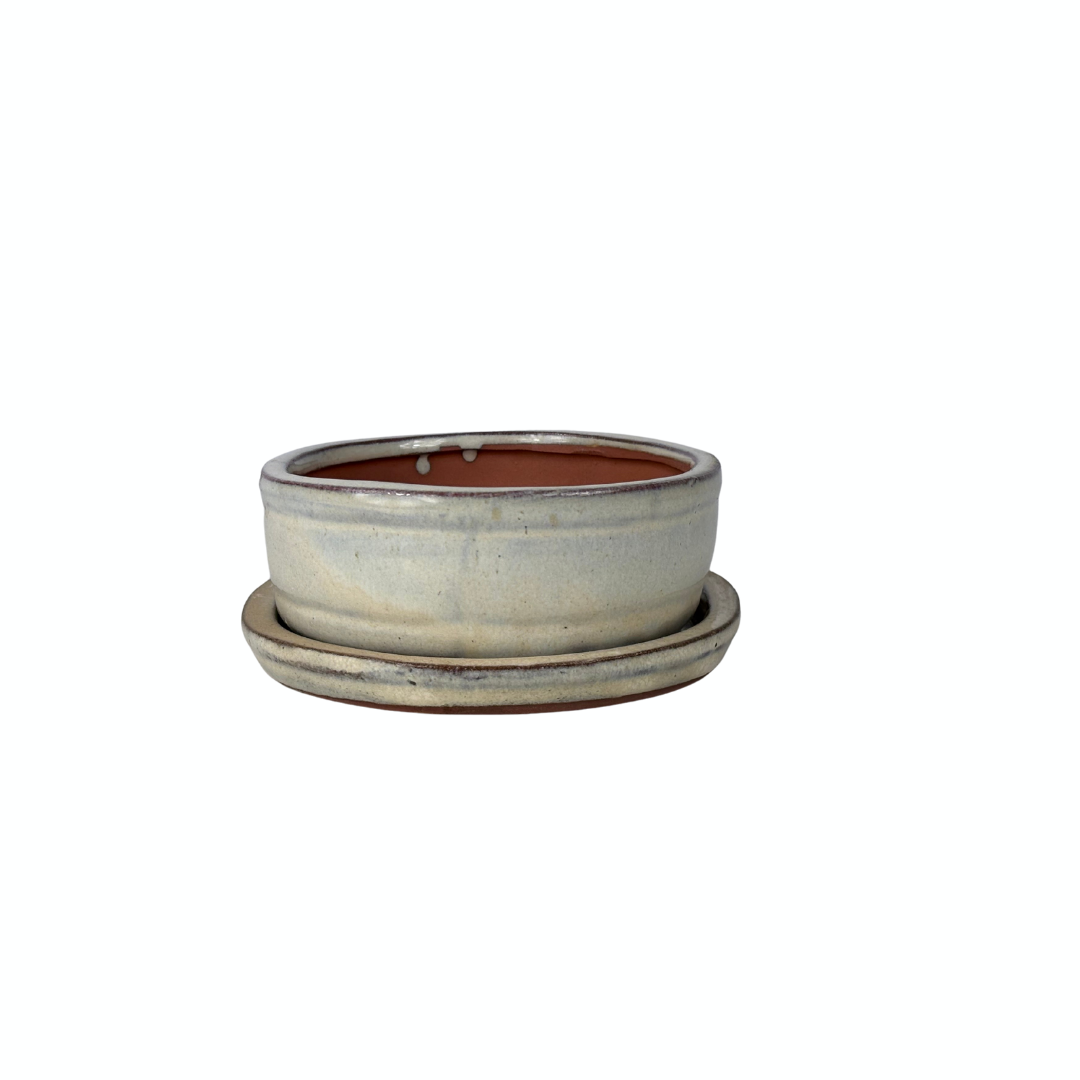 Bonsai pot creme ovaal 16cm - set