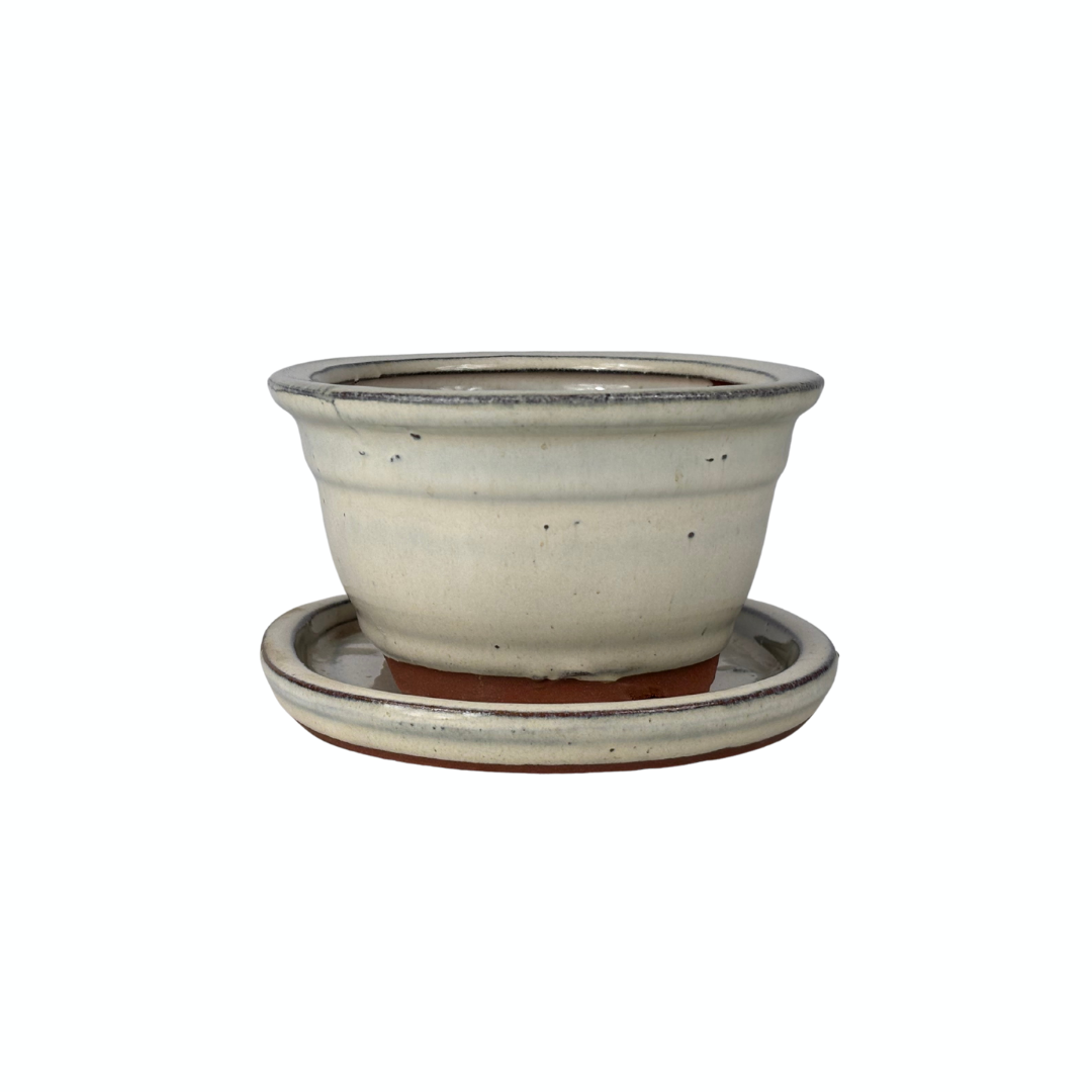 Bonsai pot creme ovaal 16cm - set
