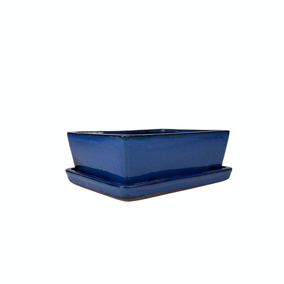 Bonsai pot blauw rechthoek 24cm - set