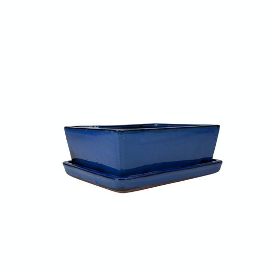 Bonsai pot blauw rechthoek 30cm - set