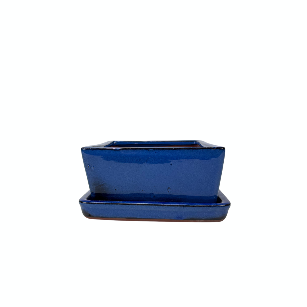 Bonsai pot blauw rechthoek 24cm - set
