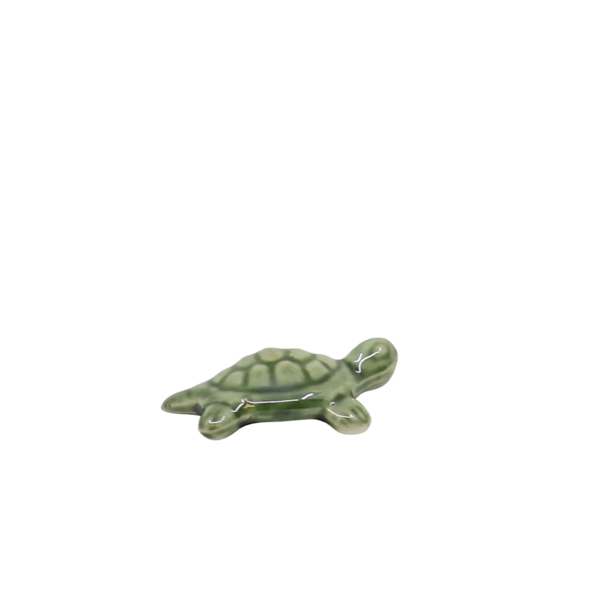 Bonsai Tenpai / Schildpad (keramiek)