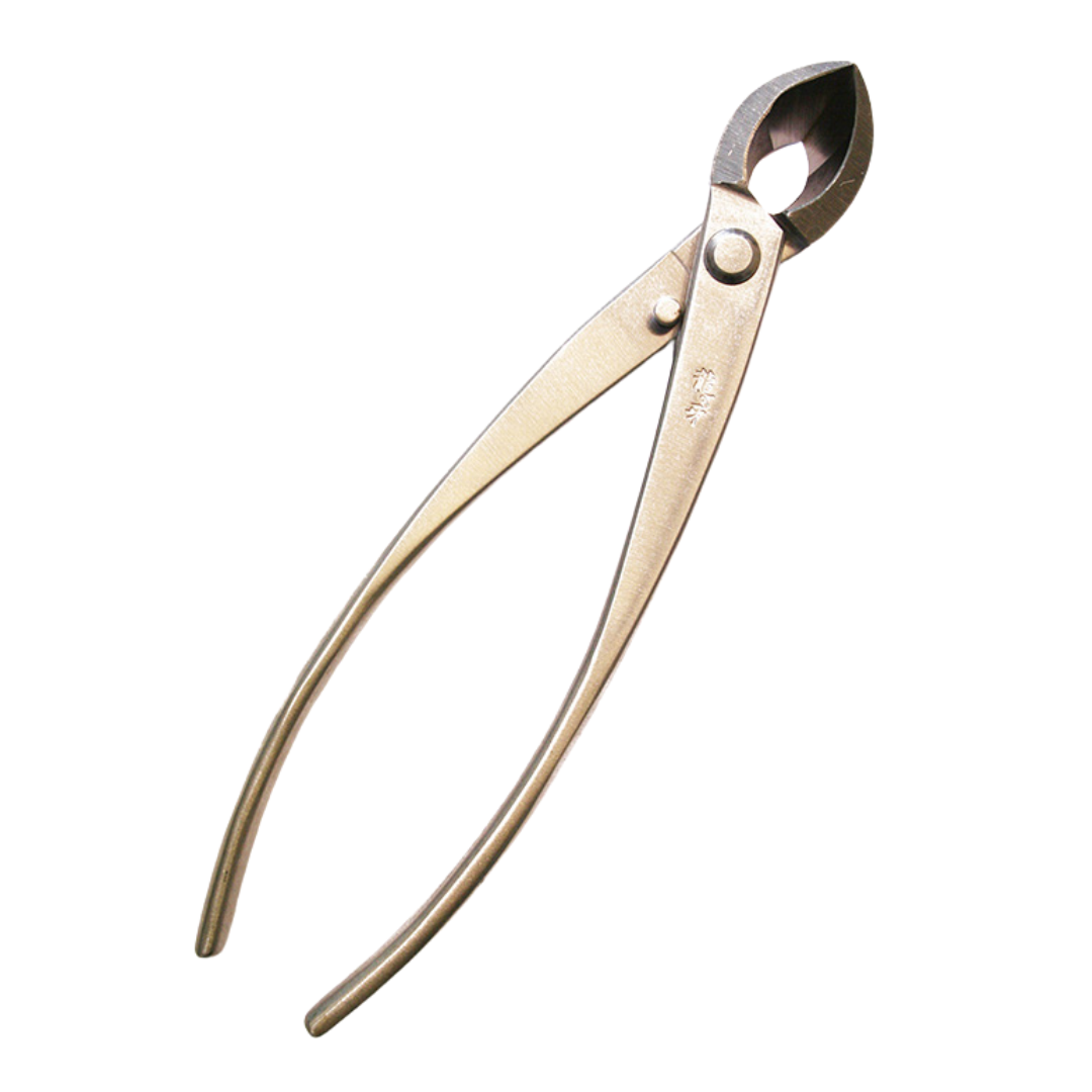 Bonsai Ryuga concaaftang RVS 203 mm