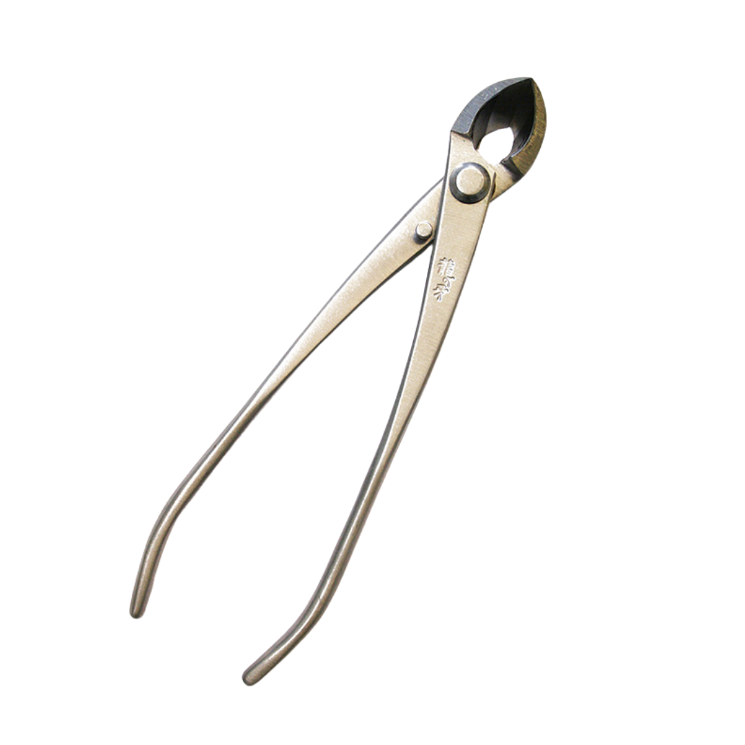 Bonsai Ryuga concaaftang RVS 170 mm