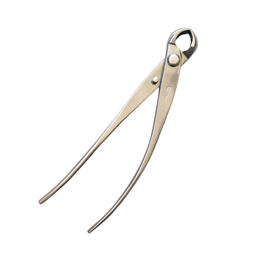 Bonsai Ryuga knobbeltang RVS 179 mm