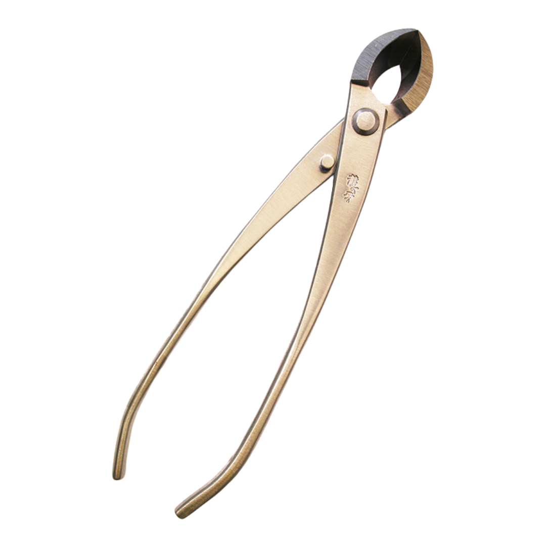 Bonsai Ryuga concaaftang - Sferische RVS 205 mm