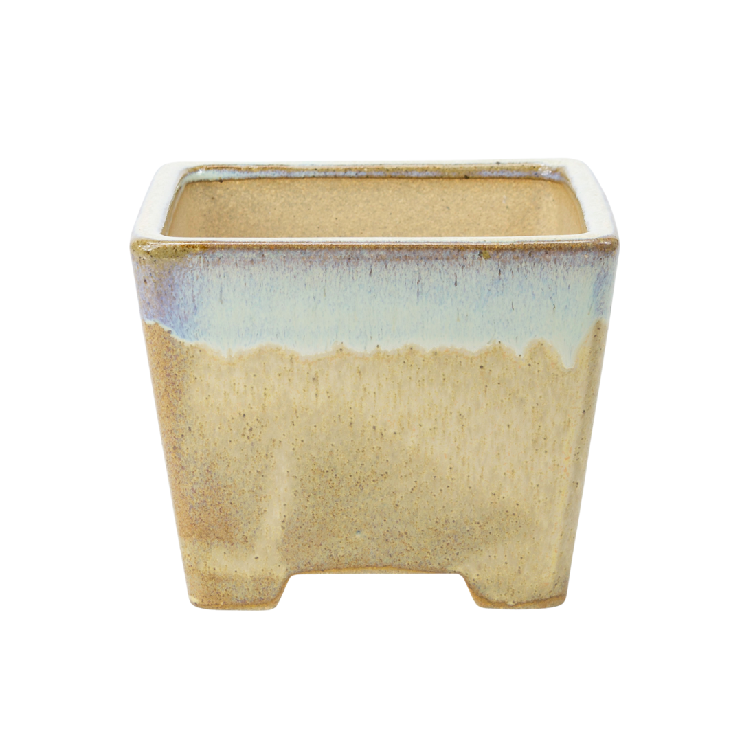 Bonsai pot beige vierkant semi-cascade 13.7cm