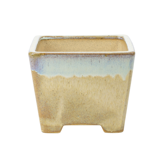 Bonsai pot beige vierkant semi-cascade 13.7cm