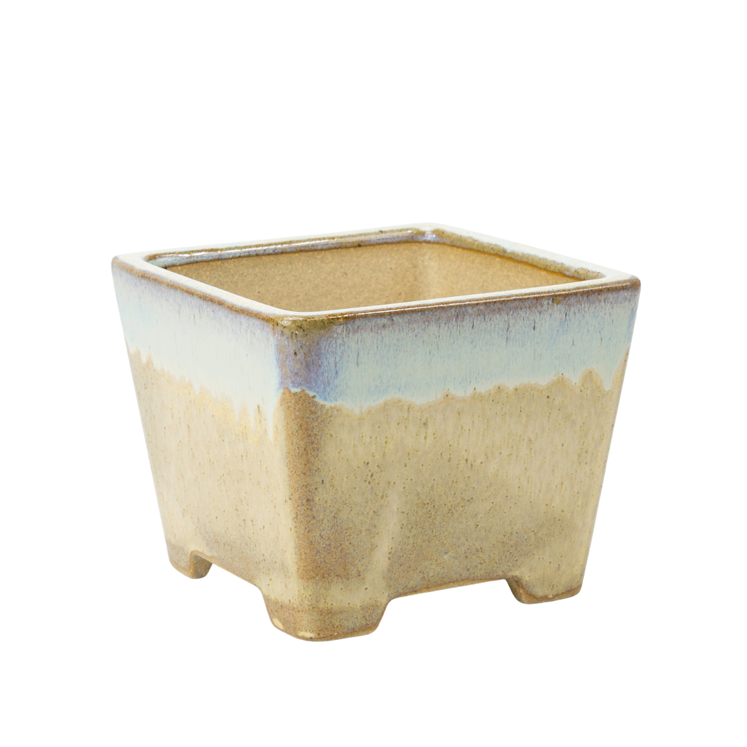 Bonsai pot beige vierkant semi-cascade 13.7cm