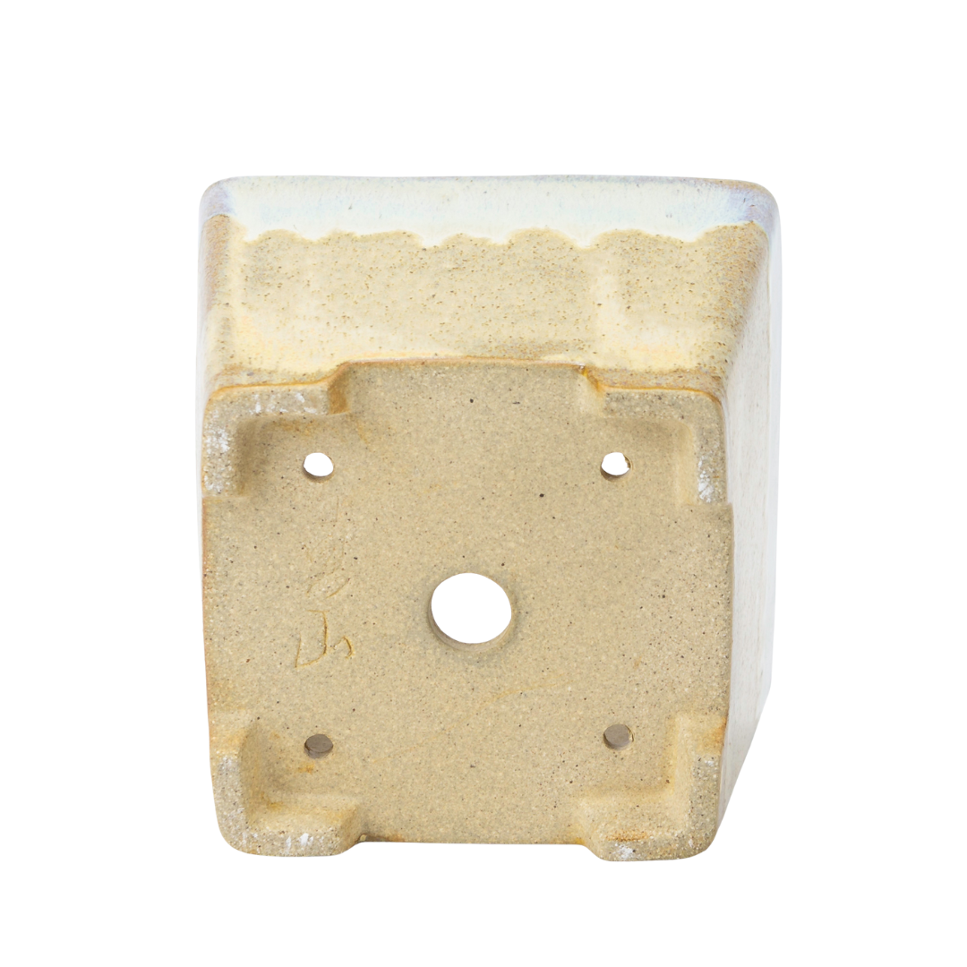 Bonsai pot beige vierkant semi-cascade 13.7cm