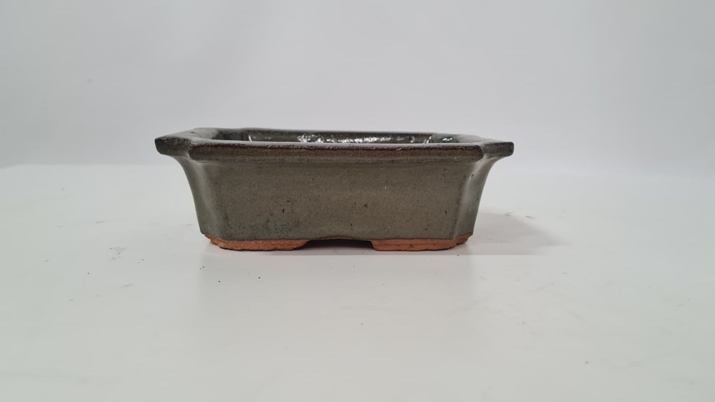 Bonsai pot groen 15cm massa